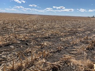 <li>766+/- Highly Productive Tillable Farmland
<li>735+/- Irrigated Acres
<li>Unlimited Water
<li>Irrigation Equipment:
<li>2018 T/L hydraulic center pivot (Pivot #2 SE Circle)
<li>2016 T/L hydraulic center pivot (Pivot #3 SW Circle)
<li>2015 T/L hydraulic center pivot (Pivot #1 NE Circle)
<li>2013 T/L hydraulic wiper pivot (110 ac. NW corner)
<li>2008 T/L hydraulic wiper pivot (75 ac. NE corner) - FARMLAND - 766+/- ACRES