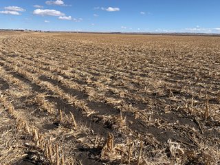 <li>766+/- Highly Productive Tillable Farmland
<li>735+/- Irrigated Acres
<li>Unlimited Water
<li>Irrigation Equipment:
<li>2018 T/L hydraulic center pivot (Pivot #2 SE Circle)
<li>2016 T/L hydraulic center pivot (Pivot #3 SW Circle)
<li>2015 T/L hydraulic center pivot (Pivot #1 NE Circle)
<li>2013 T/L hydraulic wiper pivot (110 ac. NW corner)
<li>2008 T/L hydraulic wiper pivot (75 ac. NE corner) - FARMLAND - 766+/- ACRES