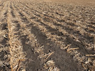 <li>766+/- Highly Productive Tillable Farmland
<li>735+/- Irrigated Acres
<li>Unlimited Water
<li>Irrigation Equipment:
<li>2018 T/L hydraulic center pivot (Pivot #2 SE Circle)
<li>2016 T/L hydraulic center pivot (Pivot #3 SW Circle)
<li>2015 T/L hydraulic center pivot (Pivot #1 NE Circle)
<li>2013 T/L hydraulic wiper pivot (110 ac. NW corner)
<li>2008 T/L hydraulic wiper pivot (75 ac. NE corner) - FARMLAND - 766+/- ACRES