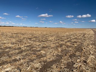 <li>766+/- Highly Productive Tillable Farmland
<li>735+/- Irrigated Acres
<li>Unlimited Water
<li>Irrigation Equipment:
<li>2018 T/L hydraulic center pivot (Pivot #2 SE Circle)
<li>2016 T/L hydraulic center pivot (Pivot #3 SW Circle)
<li>2015 T/L hydraulic center pivot (Pivot #1 NE Circle)
<li>2013 T/L hydraulic wiper pivot (110 ac. NW corner)
<li>2008 T/L hydraulic wiper pivot (75 ac. NE corner) - FARMLAND - 766+/- ACRES