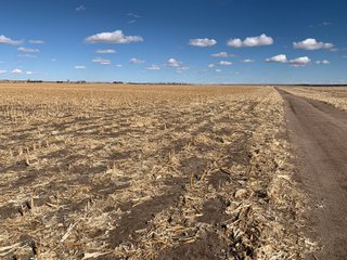 <li>766+/- Highly Productive Tillable Farmland
<li>735+/- Irrigated Acres
<li>Unlimited Water
<li>Irrigation Equipment:
<li>2018 T/L hydraulic center pivot (Pivot #2 SE Circle)
<li>2016 T/L hydraulic center pivot (Pivot #3 SW Circle)
<li>2015 T/L hydraulic center pivot (Pivot #1 NE Circle)
<li>2013 T/L hydraulic wiper pivot (110 ac. NW corner)
<li>2008 T/L hydraulic wiper pivot (75 ac. NE corner) - FARMLAND - 766+/- ACRES
