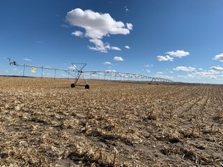 <li>766+/- Highly Productive Tillable Farmland
<li>735+/- Irrigated Acres
<li>Unlimited Water
<li>Irrigation Equipment:
<li>2018 T/L hydraulic center pivot (Pivot #2 SE Circle)
<li>2016 T/L hydraulic center pivot (Pivot #3 SW Circle)
<li>2015 T/L hydraulic center pivot (Pivot #1 NE Circle)
<li>2013 T/L hydraulic wiper pivot (110 ac. NW corner)
<li>2008 T/L hydraulic wiper pivot (75 ac. NE corner) - FARMLAND - 766+/- ACRES