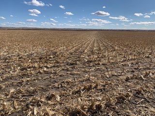 <li>766+/- Highly Productive Tillable Farmland
<li>735+/- Irrigated Acres
<li>Unlimited Water
<li>Irrigation Equipment:
<li>2018 T/L hydraulic center pivot (Pivot #2 SE Circle)
<li>2016 T/L hydraulic center pivot (Pivot #3 SW Circle)
<li>2015 T/L hydraulic center pivot (Pivot #1 NE Circle)
<li>2013 T/L hydraulic wiper pivot (110 ac. NW corner)
<li>2008 T/L hydraulic wiper pivot (75 ac. NE corner) - FARMLAND - 766+/- ACRES