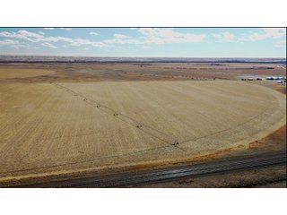 <li>766+/- Highly Productive Tillable Farmland
<li>735+/- Irrigated Acres
<li>Unlimited Water
<li>Irrigation Equipment:
<li>2018 T/L hydraulic center pivot (Pivot #2 SE Circle)
<li>2016 T/L hydraulic center pivot (Pivot #3 SW Circle)
<li>2015 T/L hydraulic center pivot (Pivot #1 NE Circle)
<li>2013 T/L hydraulic wiper pivot (110 ac. NW corner)
<li>2008 T/L hydraulic wiper pivot (75 ac. NE corner) - FARMLAND - 766+/- ACRES