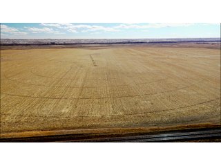 <li>766+/- Highly Productive Tillable Farmland
<li>735+/- Irrigated Acres
<li>Unlimited Water
<li>Irrigation Equipment:
<li>2018 T/L hydraulic center pivot (Pivot #2 SE Circle)
<li>2016 T/L hydraulic center pivot (Pivot #3 SW Circle)
<li>2015 T/L hydraulic center pivot (Pivot #1 NE Circle)
<li>2013 T/L hydraulic wiper pivot (110 ac. NW corner)
<li>2008 T/L hydraulic wiper pivot (75 ac. NE corner) - FARMLAND - 766+/- ACRES