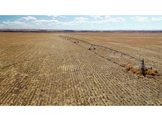 <li>766+/- Highly Productive Tillable Farmland
<li>735+/- Irrigated Acres
<li>Unlimited Water
<li>Irrigation Equipment:
<li>2018 T/L hydraulic center pivot (Pivot #2 SE Circle)
<li>2016 T/L hydraulic center pivot (Pivot #3 SW Circle)
<li>2015 T/L hydraulic center pivot (Pivot #1 NE Circle)
<li>2013 T/L hydraulic wiper pivot (110 ac. NW corner)
<li>2008 T/L hydraulic wiper pivot (75 ac. NE corner) - FARMLAND - 766+/- ACRES