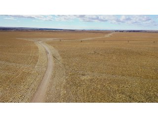 <li>766+/- Highly Productive Tillable Farmland
<li>735+/- Irrigated Acres
<li>Unlimited Water
<li>Irrigation Equipment:
<li>2018 T/L hydraulic center pivot (Pivot #2 SE Circle)
<li>2016 T/L hydraulic center pivot (Pivot #3 SW Circle)
<li>2015 T/L hydraulic center pivot (Pivot #1 NE Circle)
<li>2013 T/L hydraulic wiper pivot (110 ac. NW corner)
<li>2008 T/L hydraulic wiper pivot (75 ac. NE corner) - FARMLAND - 766+/- ACRES