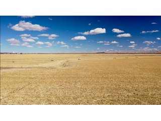 <li>766+/- Highly Productive Tillable Farmland
<li>735+/- Irrigated Acres
<li>Unlimited Water
<li>Irrigation Equipment:
<li>2018 T/L hydraulic center pivot (Pivot #2 SE Circle)
<li>2016 T/L hydraulic center pivot (Pivot #3 SW Circle)
<li>2015 T/L hydraulic center pivot (Pivot #1 NE Circle)
<li>2013 T/L hydraulic wiper pivot (110 ac. NW corner)
<li>2008 T/L hydraulic wiper pivot (75 ac. NE corner) - FARMLAND - 766+/- ACRES