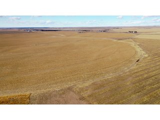 <li>766+/- Highly Productive Tillable Farmland
<li>735+/- Irrigated Acres
<li>Unlimited Water
<li>Irrigation Equipment:
<li>2018 T/L hydraulic center pivot (Pivot #2 SE Circle)
<li>2016 T/L hydraulic center pivot (Pivot #3 SW Circle)
<li>2015 T/L hydraulic center pivot (Pivot #1 NE Circle)
<li>2013 T/L hydraulic wiper pivot (110 ac. NW corner)
<li>2008 T/L hydraulic wiper pivot (75 ac. NE corner) - FARMLAND - 766+/- ACRES