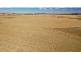 <li>766+/- Highly Productive Tillable Farmland
<li>735+/- Irrigated Acres
<li>Unlimited Water
<li>Irrigation Equipment:
<li>2018 T/L hydraulic center pivot (Pivot #2 SE Circle)
<li>2016 T/L hydraulic center pivot (Pivot #3 SW Circle)
<li>2015 T/L hydraulic center pivot (Pivot #1 NE Circle)
<li>2013 T/L hydraulic wiper pivot (110 ac. NW corner)
<li>2008 T/L hydraulic wiper pivot (75 ac. NE corner) - FARMLAND - 766+/- ACRES
