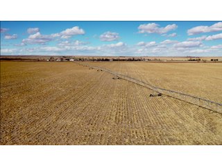 <li>766+/- Highly Productive Tillable Farmland
<li>735+/- Irrigated Acres
<li>Unlimited Water
<li>Irrigation Equipment:
<li>2018 T/L hydraulic center pivot (Pivot #2 SE Circle)
<li>2016 T/L hydraulic center pivot (Pivot #3 SW Circle)
<li>2015 T/L hydraulic center pivot (Pivot #1 NE Circle)
<li>2013 T/L hydraulic wiper pivot (110 ac. NW corner)
<li>2008 T/L hydraulic wiper pivot (75 ac. NE corner) - FARMLAND - 766+/- ACRES