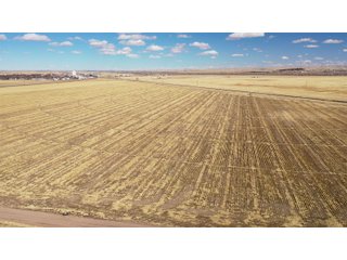<li>766+/- Highly Productive Tillable Farmland
<li>735+/- Irrigated Acres
<li>Unlimited Water
<li>Irrigation Equipment:
<li>2018 T/L hydraulic center pivot (Pivot #2 SE Circle)
<li>2016 T/L hydraulic center pivot (Pivot #3 SW Circle)
<li>2015 T/L hydraulic center pivot (Pivot #1 NE Circle)
<li>2013 T/L hydraulic wiper pivot (110 ac. NW corner)
<li>2008 T/L hydraulic wiper pivot (75 ac. NE corner) - FARMLAND - 766+/- ACRES