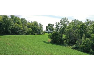 <b>Situated in the heart of deer country, </b>this 58+/- Acres approximately 1 mile from the Wisconsin River starts on a ridge top and gradually makes its way to the valley below. The ridges on this property make perfect pockets for deer to reside with a large part of the property being a south facing hillside. The 3+/- Acres of tillable land is ready for a food plot or income from a local farmer. There are logging trails throughout to access the property. This is a buildable site for either a hunting camp or home.<br>
<li>3+/- acres of tillable ground/food plot
<li>Less than 10 minutes from Prairie Du Chien and Patch Grove
<li>MFL closed until December 2021
<li>Buildable site
 - 58+/- ACRES FOR SALE - PRIME DEER HUNTING - GRANT COUNTY, WISCONSIN