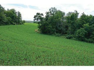 <b>Situated in the heart of deer country, </b>this 58+/- Acres approximately 1 mile from the Wisconsin River starts on a ridge top and gradually makes its way to the valley below. The ridges on this property make perfect pockets for deer to reside with a large part of the property being a south facing hillside. The 3+/- Acres of tillable land is ready for a food plot or income from a local farmer. There are logging trails throughout to access the property. This is a buildable site for either a hunting camp or home.<br>
<li>3+/- acres of tillable ground/food plot
<li>Less than 10 minutes from Prairie Du Chien and Patch Grove
<li>MFL closed until December 2021
<li>Buildable site
 - 58+/- ACRES FOR SALE - PRIME DEER HUNTING - GRANT COUNTY, WISCONSIN