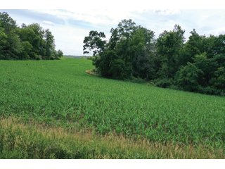 <b>Situated in the heart of deer country, </b>this 58+/- Acres approximately 1 mile from the Wisconsin River starts on a ridge top and gradually makes its way to the valley below. The ridges on this property make perfect pockets for deer to reside with a large part of the property being a south facing hillside. The 3+/- Acres of tillable land is ready for a food plot or income from a local farmer. There are logging trails throughout to access the property. This is a buildable site for either a hunting camp or home.<br>
<li>3+/- acres of tillable ground/food plot
<li>Less than 10 minutes from Prairie Du Chien and Patch Grove
<li>MFL closed until December 2021
<li>Buildable site
 - 58+/- ACRES FOR SALE - PRIME DEER HUNTING - GRANT COUNTY, WISCONSIN