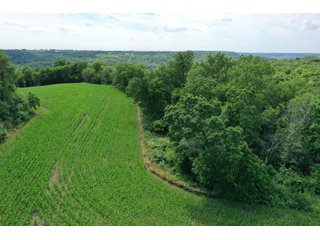<b>Situated in the heart of deer country, </b>this 58+/- Acres approximately 1 mile from the Wisconsin River starts on a ridge top and gradually makes its way to the valley below. The ridges on this property make perfect pockets for deer to reside with a large part of the property being a south facing hillside. The 3+/- Acres of tillable land is ready for a food plot or income from a local farmer. There are logging trails throughout to access the property. This is a buildable site for either a hunting camp or home.<br>
<li>3+/- acres of tillable ground/food plot
<li>Less than 10 minutes from Prairie Du Chien and Patch Grove
<li>MFL closed until December 2021
<li>Buildable site
 - 58+/- ACRES FOR SALE - PRIME DEER HUNTING - GRANT COUNTY, WISCONSIN