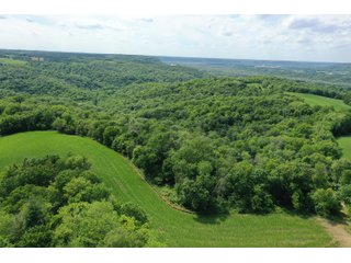 <b>Situated in the heart of deer country, </b>this 58+/- Acres approximately 1 mile from the Wisconsin River starts on a ridge top and gradually makes its way to the valley below. The ridges on this property make perfect pockets for deer to reside with a large part of the property being a south facing hillside. The 3+/- Acres of tillable land is ready for a food plot or income from a local farmer. There are logging trails throughout to access the property. This is a buildable site for either a hunting camp or home.<br>
<li>3+/- acres of tillable ground/food plot
<li>Less than 10 minutes from Prairie Du Chien and Patch Grove
<li>MFL closed until December 2021
<li>Buildable site
 - 58+/- ACRES FOR SALE - PRIME DEER HUNTING - GRANT COUNTY, WISCONSIN