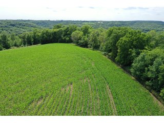 <b>Situated in the heart of deer country, </b>this 58+/- Acres approximately 1 mile from the Wisconsin River starts on a ridge top and gradually makes its way to the valley below. The ridges on this property make perfect pockets for deer to reside with a large part of the property being a south facing hillside. The 3+/- Acres of tillable land is ready for a food plot or income from a local farmer. There are logging trails throughout to access the property. This is a buildable site for either a hunting camp or home.<br>
<li>3+/- acres of tillable ground/food plot
<li>Less than 10 minutes from Prairie Du Chien and Patch Grove
<li>MFL closed until December 2021
<li>Buildable site
 - 58+/- ACRES FOR SALE - PRIME DEER HUNTING - GRANT COUNTY, WISCONSIN
