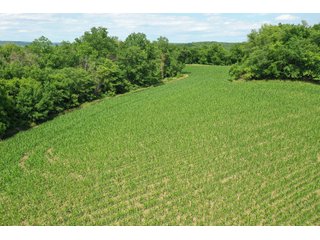<b>Situated in the heart of deer country, </b>this 58+/- Acres approximately 1 mile from the Wisconsin River starts on a ridge top and gradually makes its way to the valley below. The ridges on this property make perfect pockets for deer to reside with a large part of the property being a south facing hillside. The 3+/- Acres of tillable land is ready for a food plot or income from a local farmer. There are logging trails throughout to access the property. This is a buildable site for either a hunting camp or home.<br>
<li>3+/- acres of tillable ground/food plot
<li>Less than 10 minutes from Prairie Du Chien and Patch Grove
<li>MFL closed until December 2021
<li>Buildable site
 - 58+/- ACRES FOR SALE - PRIME DEER HUNTING - GRANT COUNTY, WISCONSIN