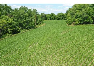 <b>Situated in the heart of deer country, </b>this 58+/- Acres approximately 1 mile from the Wisconsin River starts on a ridge top and gradually makes its way to the valley below. The ridges on this property make perfect pockets for deer to reside with a large part of the property being a south facing hillside. The 3+/- Acres of tillable land is ready for a food plot or income from a local farmer. There are logging trails throughout to access the property. This is a buildable site for either a hunting camp or home.<br>
<li>3+/- acres of tillable ground/food plot
<li>Less than 10 minutes from Prairie Du Chien and Patch Grove
<li>MFL closed until December 2021
<li>Buildable site
 - 58+/- ACRES FOR SALE - PRIME DEER HUNTING - GRANT COUNTY, WISCONSIN