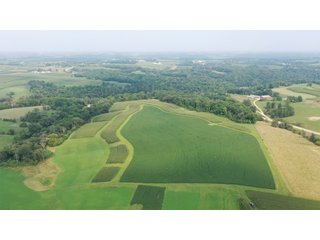 Whether looking to purchase your first farm, need hunting land that provides income or adding on to your current operation, this 46.27+/- acre piece of land fits a variety of needs.  This farm is located between Highway 81, County U and Muscallounge Rd right in Beetown, WI.  The 32+/- acres of productive work ground provides healthy yields making it great to own or easy to rent.  The 14+/- acres of timber runs along three sides of the property making it "feel bigger than it is" for hunters.  The primary entrance for this land is off of Muscallounge Rd but there are two small access points of road frontage on both Highway 81 and County U, which makes for convenient access during archery and rifle season. - 46.27+/- ACRES FOR SALE. 32+/- ACRES TILLABLE. 14+/- ACRES TIMBER/HUNTING - GRANT COUNTY, WISCONSIN