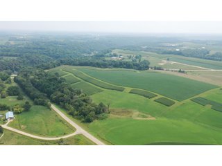 Whether looking to purchase your first farm, need hunting land that provides income or adding on to your current operation, this 46.27+/- acre piece of land fits a variety of needs.  This farm is located between Highway 81, County U and Muscallounge Rd right in Beetown, WI.  The 32+/- acres of productive work ground provides healthy yields making it great to own or easy to rent.  The 14+/- acres of timber runs along three sides of the property making it "feel bigger than it is" for hunters.  The primary entrance for this land is off of Muscallounge Rd but there are two small access points of road frontage on both Highway 81 and County U, which makes for convenient access during archery and rifle season. - 46.27+/- ACRES FOR SALE. 32+/- ACRES TILLABLE. 14+/- ACRES TIMBER/HUNTING - GRANT COUNTY, WISCONSIN