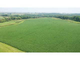 Whether looking to purchase your first farm, need hunting land that provides income or adding on to your current operation, this 46.27+/- acre piece of land fits a variety of needs.  This farm is located between Highway 81, County U and Muscallounge Rd right in Beetown, WI.  The 32+/- acres of productive work ground provides healthy yields making it great to own or easy to rent.  The 14+/- acres of timber runs along three sides of the property making it "feel bigger than it is" for hunters.  The primary entrance for this land is off of Muscallounge Rd but there are two small access points of road frontage on both Highway 81 and County U, which makes for convenient access during archery and rifle season. - 46.27+/- ACRES FOR SALE. 32+/- ACRES TILLABLE. 14+/- ACRES TIMBER/HUNTING - GRANT COUNTY, WISCONSIN