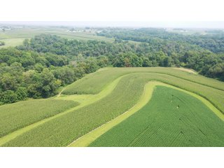 Whether looking to purchase your first farm, need hunting land that provides income or adding on to your current operation, this 46.27+/- acre piece of land fits a variety of needs.  This farm is located between Highway 81, County U and Muscallounge Rd right in Beetown, WI.  The 32+/- acres of productive work ground provides healthy yields making it great to own or easy to rent.  The 14+/- acres of timber runs along three sides of the property making it "feel bigger than it is" for hunters.  The primary entrance for this land is off of Muscallounge Rd but there are two small access points of road frontage on both Highway 81 and County U, which makes for convenient access during archery and rifle season. - 46.27+/- ACRES FOR SALE. 32+/- ACRES TILLABLE. 14+/- ACRES TIMBER/HUNTING - GRANT COUNTY, WISCONSIN