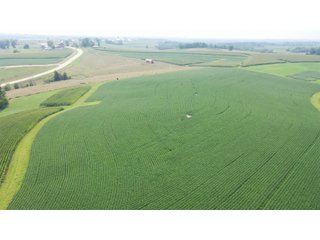 Whether looking to purchase your first farm, need hunting land that provides income or adding on to your current operation, this 46.27+/- acre piece of land fits a variety of needs.  This farm is located between Highway 81, County U and Muscallounge Rd right in Beetown, WI.  The 32+/- acres of productive work ground provides healthy yields making it great to own or easy to rent.  The 14+/- acres of timber runs along three sides of the property making it "feel bigger than it is" for hunters.  The primary entrance for this land is off of Muscallounge Rd but there are two small access points of road frontage on both Highway 81 and County U, which makes for convenient access during archery and rifle season. - 46.27+/- ACRES FOR SALE. 32+/- ACRES TILLABLE. 14+/- ACRES TIMBER/HUNTING - GRANT COUNTY, WISCONSIN