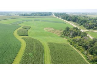 Whether looking to purchase your first farm, need hunting land that provides income or adding on to your current operation, this 46.27+/- acre piece of land fits a variety of needs.  This farm is located between Highway 81, County U and Muscallounge Rd right in Beetown, WI.  The 32+/- acres of productive work ground provides healthy yields making it great to own or easy to rent.  The 14+/- acres of timber runs along three sides of the property making it "feel bigger than it is" for hunters.  The primary entrance for this land is off of Muscallounge Rd but there are two small access points of road frontage on both Highway 81 and County U, which makes for convenient access during archery and rifle season. - 46.27+/- ACRES FOR SALE. 32+/- ACRES TILLABLE. 14+/- ACRES TIMBER/HUNTING - GRANT COUNTY, WISCONSIN