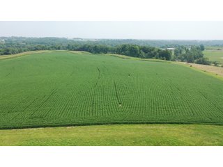 Whether looking to purchase your first farm, need hunting land that provides income or adding on to your current operation, this 46.27+/- acre piece of land fits a variety of needs.  This farm is located between Highway 81, County U and Muscallounge Rd right in Beetown, WI.  The 32+/- acres of productive work ground provides healthy yields making it great to own or easy to rent.  The 14+/- acres of timber runs along three sides of the property making it "feel bigger than it is" for hunters.  The primary entrance for this land is off of Muscallounge Rd but there are two small access points of road frontage on both Highway 81 and County U, which makes for convenient access during archery and rifle season. - 46.27+/- ACRES FOR SALE. 32+/- ACRES TILLABLE. 14+/- ACRES TIMBER/HUNTING - GRANT COUNTY, WISCONSIN