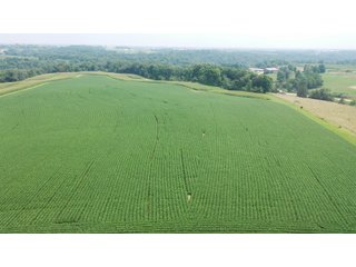 Whether looking to purchase your first farm, need hunting land that provides income or adding on to your current operation, this 46.27+/- acre piece of land fits a variety of needs.  This farm is located between Highway 81, County U and Muscallounge Rd right in Beetown, WI.  The 32+/- acres of productive work ground provides healthy yields making it great to own or easy to rent.  The 14+/- acres of timber runs along three sides of the property making it "feel bigger than it is" for hunters.  The primary entrance for this land is off of Muscallounge Rd but there are two small access points of road frontage on both Highway 81 and County U, which makes for convenient access during archery and rifle season. - 46.27+/- ACRES FOR SALE. 32+/- ACRES TILLABLE. 14+/- ACRES TIMBER/HUNTING - GRANT COUNTY, WISCONSIN