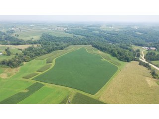Whether looking to purchase your first farm, need hunting land that provides income or adding on to your current operation, this 46.27+/- acre piece of land fits a variety of needs.  This farm is located between Highway 81, County U and Muscallounge Rd right in Beetown, WI.  The 32+/- acres of productive work ground provides healthy yields making it great to own or easy to rent.  The 14+/- acres of timber runs along three sides of the property making it "feel bigger than it is" for hunters.  The primary entrance for this land is off of Muscallounge Rd but there are two small access points of road frontage on both Highway 81 and County U, which makes for convenient access during archery and rifle season. - 46.27+/- ACRES FOR SALE. 32+/- ACRES TILLABLE. 14+/- ACRES TIMBER/HUNTING - GRANT COUNTY, WISCONSIN
