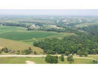Whether looking to purchase your first farm, need hunting land that provides income or adding on to your current operation, this 46.27+/- acre piece of land fits a variety of needs.  This farm is located between Highway 81, County U and Muscallounge Rd right in Beetown, WI.  The 32+/- acres of productive work ground provides healthy yields making it great to own or easy to rent.  The 14+/- acres of timber runs along three sides of the property making it "feel bigger than it is" for hunters.  The primary entrance for this land is off of Muscallounge Rd but there are two small access points of road frontage on both Highway 81 and County U, which makes for convenient access during archery and rifle season. - 46.27+/- ACRES FOR SALE. 32+/- ACRES TILLABLE. 14+/- ACRES TIMBER/HUNTING - GRANT COUNTY, WISCONSIN