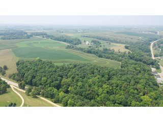 Whether looking to purchase your first farm, need hunting land that provides income or adding on to your current operation, this 46.27+/- acre piece of land fits a variety of needs.  This farm is located between Highway 81, County U and Muscallounge Rd right in Beetown, WI.  The 32+/- acres of productive work ground provides healthy yields making it great to own or easy to rent.  The 14+/- acres of timber runs along three sides of the property making it "feel bigger than it is" for hunters.  The primary entrance for this land is off of Muscallounge Rd but there are two small access points of road frontage on both Highway 81 and County U, which makes for convenient access during archery and rifle season. - 46.27+/- ACRES FOR SALE. 32+/- ACRES TILLABLE. 14+/- ACRES TIMBER/HUNTING - GRANT COUNTY, WISCONSIN