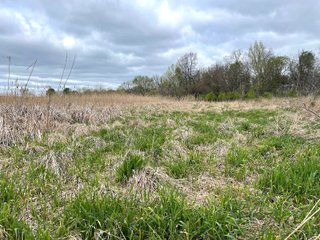 This property consists of approximately 40+/- acres and several beautiful potential building sites. The combination of woods, water, and grassland provide for a unique habitat attractive to many game species. This quiet area is prime hunting land for deer, turkey, and pheasant. Do not miss out on this unique recreational and development opportunity!  - Real Estate Listing - Property for Sale - 40+/- Acres