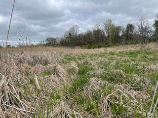 This property consists of approximately 40+/- acres and several beautiful potential building sites. The combination of woods, water, and grassland provide for a unique habitat attractive to many game species. This quiet area is prime hunting land for deer, turkey, and pheasant. Do not miss out on this unique recreational and development opportunity!  - Real Estate Listing - Property for Sale - 40+/- Acres