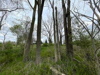 This property consists of approximately 40+/- acres and several beautiful potential building sites. The combination of woods, water, and grassland provide for a unique habitat attractive to many game species. This quiet area is prime hunting land for deer, turkey, and pheasant. Do not miss out on this unique recreational and development opportunity!  - Real Estate Listing - Property for Sale - 40+/- Acres