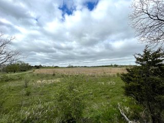 This property consists of approximately 40+/- acres and several beautiful potential building sites. The combination of woods, water, and grassland provide for a unique habitat attractive to many game species. This quiet area is prime hunting land for deer, turkey, and pheasant. Do not miss out on this unique recreational and development opportunity!  - Real Estate Listing - Property for Sale - 40+/- Acres