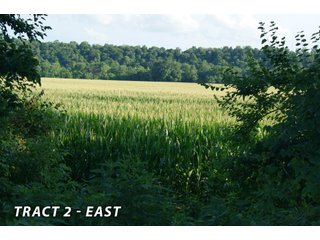 Property photo 1 - LAND FOR SALE  - 181.1+/- ACRES OFFERED ON TRACT 2 IN LAWRENCE COUNTY, INDIANA