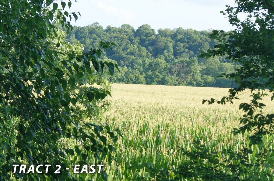 For sale: LAND FOR SALE  - 181.1+/- ACRES OFFERED ON TRACT 2 IN LAWRENCE COUNTY, INDIANA - Tunnelton, Indiana - Bedford, Indiana - Lawrenceport, Indiana
