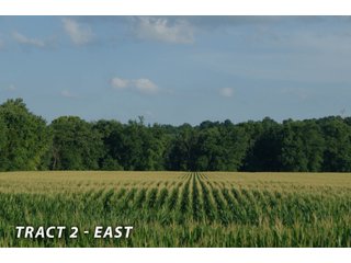 <b><I>This would be a great property for farmer or investor to safely invest in with the additional potential of leasing out the property to hunters and fishermen.  Tract 1 is the most popular for deer and turkey; however, the river bottoms yield the biggest bucks, with the turkeys always present scratching the crop residual.</b></I>

<li><b>Tract 2 (Offer Pending) consists of 181 acres of river-bottom ground just south of Tunnelton, Indiana in the White River bottoms.</b> 176 acres are tillable with over a mile of frontage on its southern boundary and currently planted in corn. The remaining 5 acres of non-tillable is a wooded river boundary with some additional small wood-lots. A gravel road accesses this property along its entire north boundary, a bonus in crop production. The CSX railroad runs parallel with this road. - LAND FOR SALE  - 181.1+/- ACRES OFFERED ON TRACT 2 IN LAWRENCE COUNTY, INDIANA