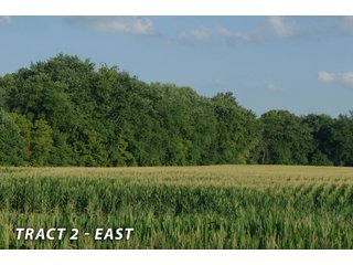 <b><I>This would be a great property for farmer or investor to safely invest in with the additional potential of leasing out the property to hunters and fishermen.  Tract 1 is the most popular for deer and turkey; however, the river bottoms yield the biggest bucks, with the turkeys always present scratching the crop residual.</b></I>

<li><b>Tract 2 (Offer Pending) consists of 181 acres of river-bottom ground just south of Tunnelton, Indiana in the White River bottoms.</b> 176 acres are tillable with over a mile of frontage on its southern boundary and currently planted in corn. The remaining 5 acres of non-tillable is a wooded river boundary with some additional small wood-lots. A gravel road accesses this property along its entire north boundary, a bonus in crop production. The CSX railroad runs parallel with this road. - LAND FOR SALE  - 181.1+/- ACRES OFFERED ON TRACT 2 IN LAWRENCE COUNTY, INDIANA