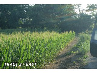 <b><I>This would be a great property for farmer or investor to safely invest in with the additional potential of leasing out the property to hunters and fishermen.  Tract 1 is the most popular for deer and turkey; however, the river bottoms yield the biggest bucks, with the turkeys always present scratching the crop residual.</b></I>

<li><b>Tract 2 (Offer Pending) consists of 181 acres of river-bottom ground just south of Tunnelton, Indiana in the White River bottoms.</b> 176 acres are tillable with over a mile of frontage on its southern boundary and currently planted in corn. The remaining 5 acres of non-tillable is a wooded river boundary with some additional small wood-lots. A gravel road accesses this property along its entire north boundary, a bonus in crop production. The CSX railroad runs parallel with this road. - LAND FOR SALE  - 181.1+/- ACRES OFFERED ON TRACT 2 IN LAWRENCE COUNTY, INDIANA