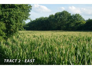 <b><I>This would be a great property for farmer or investor to safely invest in with the additional potential of leasing out the property to hunters and fishermen.  Tract 1 is the most popular for deer and turkey; however, the river bottoms yield the biggest bucks, with the turkeys always present scratching the crop residual.</b></I>

<li><b>Tract 2 (Offer Pending) consists of 181 acres of river-bottom ground just south of Tunnelton, Indiana in the White River bottoms.</b> 176 acres are tillable with over a mile of frontage on its southern boundary and currently planted in corn. The remaining 5 acres of non-tillable is a wooded river boundary with some additional small wood-lots. A gravel road accesses this property along its entire north boundary, a bonus in crop production. The CSX railroad runs parallel with this road. - LAND FOR SALE  - 181.1+/- ACRES OFFERED ON TRACT 2 IN LAWRENCE COUNTY, INDIANA