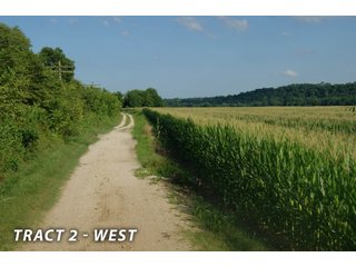 <b><I>This would be a great property for farmer or investor to safely invest in with the additional potential of leasing out the property to hunters and fishermen.  Tract 1 is the most popular for deer and turkey; however, the river bottoms yield the biggest bucks, with the turkeys always present scratching the crop residual.</b></I>

<li><b>Tract 2 (Offer Pending) consists of 181 acres of river-bottom ground just south of Tunnelton, Indiana in the White River bottoms.</b> 176 acres are tillable with over a mile of frontage on its southern boundary and currently planted in corn. The remaining 5 acres of non-tillable is a wooded river boundary with some additional small wood-lots. A gravel road accesses this property along its entire north boundary, a bonus in crop production. The CSX railroad runs parallel with this road. - LAND FOR SALE  - 181.1+/- ACRES OFFERED ON TRACT 2 IN LAWRENCE COUNTY, INDIANA