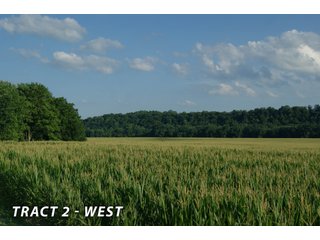 <b><I>This would be a great property for farmer or investor to safely invest in with the additional potential of leasing out the property to hunters and fishermen.  Tract 1 is the most popular for deer and turkey; however, the river bottoms yield the biggest bucks, with the turkeys always present scratching the crop residual.</b></I>

<li><b>Tract 2 (Offer Pending) consists of 181 acres of river-bottom ground just south of Tunnelton, Indiana in the White River bottoms.</b> 176 acres are tillable with over a mile of frontage on its southern boundary and currently planted in corn. The remaining 5 acres of non-tillable is a wooded river boundary with some additional small wood-lots. A gravel road accesses this property along its entire north boundary, a bonus in crop production. The CSX railroad runs parallel with this road. - LAND FOR SALE  - 181.1+/- ACRES OFFERED ON TRACT 2 IN LAWRENCE COUNTY, INDIANA