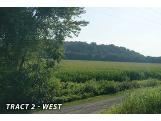 <b><I>This would be a great property for farmer or investor to safely invest in with the additional potential of leasing out the property to hunters and fishermen.  Tract 1 is the most popular for deer and turkey; however, the river bottoms yield the biggest bucks, with the turkeys always present scratching the crop residual.</b></I>

<li><b>Tract 2 (Offer Pending) consists of 181 acres of river-bottom ground just south of Tunnelton, Indiana in the White River bottoms.</b> 176 acres are tillable with over a mile of frontage on its southern boundary and currently planted in corn. The remaining 5 acres of non-tillable is a wooded river boundary with some additional small wood-lots. A gravel road accesses this property along its entire north boundary, a bonus in crop production. The CSX railroad runs parallel with this road. - LAND FOR SALE  - 181.1+/- ACRES OFFERED ON TRACT 2 IN LAWRENCE COUNTY, INDIANA