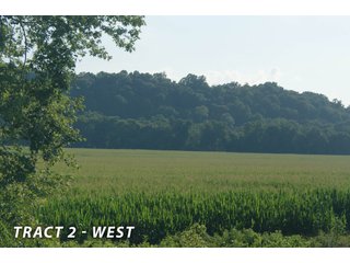 Property photo 3 - LAND FOR SALE  - 181.1+/- ACRES OFFERED ON TRACT 2 IN LAWRENCE COUNTY, INDIANA
