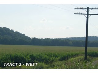 Property photo 2 - LAND FOR SALE  - 181.1+/- ACRES OFFERED ON TRACT 2 IN LAWRENCE COUNTY, INDIANA